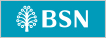 Bank Simpanan Nasional (via FPX) logo